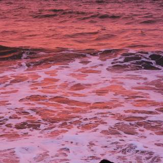 Ocean summer VSCO wallpaper