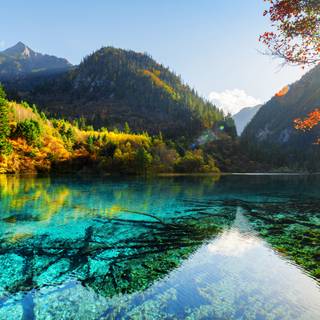 Sunny day 4k wallpaper