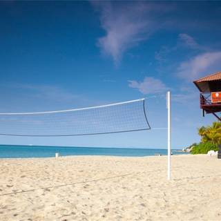 Volleyball summer wallpaper