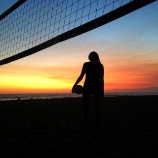 Volleyball summer wallpaper