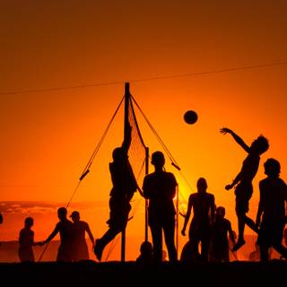 Volleyball summer wallpaper