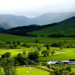 Nature mountain spring wallpaper