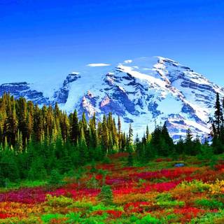 Nature mountain spring wallpaper