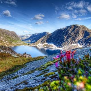 Nature mountain spring wallpaper