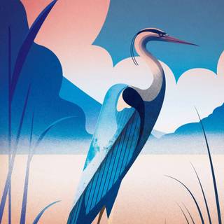 Samsung Galaxy Z Fold 2 wallpaper