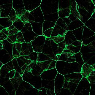 Abstract green 4k wallpaper