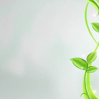 Abstract green 4k wallpaper