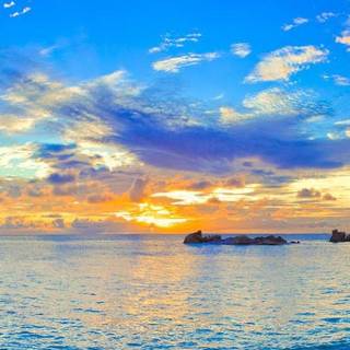 Summer 4k mobile wallpaper