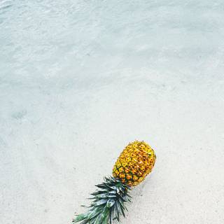 Summer 4k mobile wallpaper