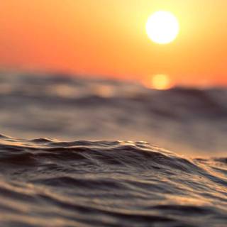 Summer 4k mobile wallpaper