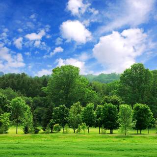 Summer coutryside wallpaper