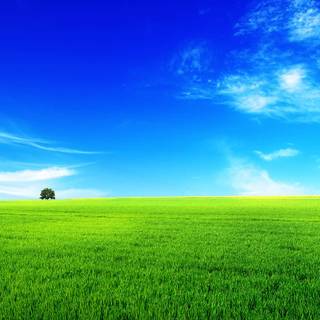 Summer coutryside wallpaper