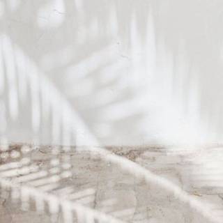 Summer neutral wallpaper