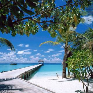 Summer sea road wallpaper