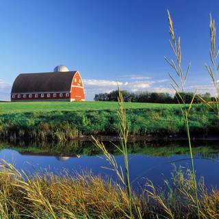 Summer coutryside wallpaper