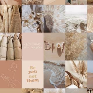 Summer neutral wallpaper