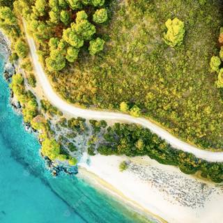 Summer sea road wallpaper