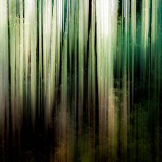 Spring abstract 4k wallpaper