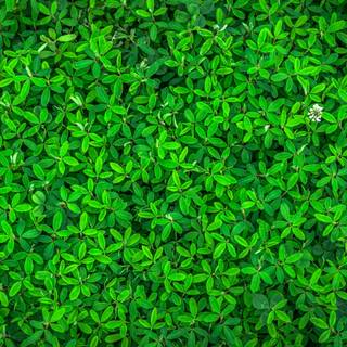 Spring abstract 4k wallpaper