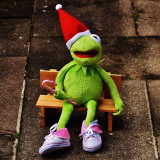 Spring green frog wallpaper