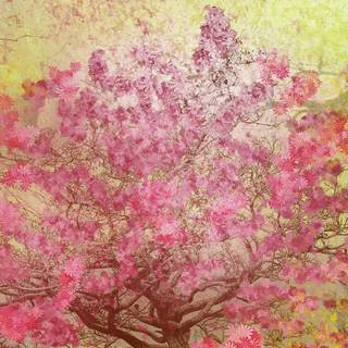 Spring abstract 4k wallpaper