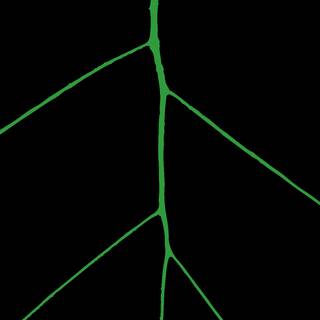 iPhone amoled HD wallpaper