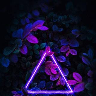 iPhone 4k neon wallpaper