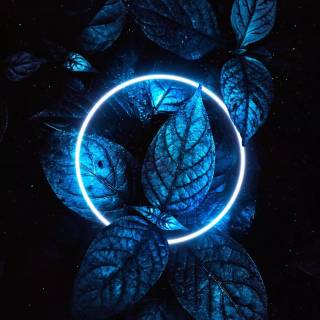 Neon blue iPhone wallpaper