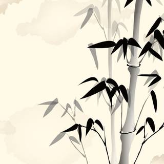 Minimalist Chinese wallpaper