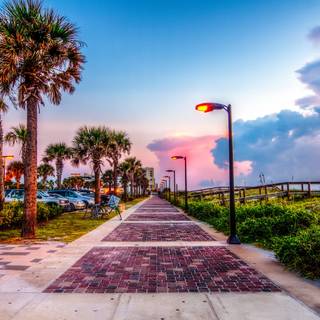 Summer Florida wallpaper