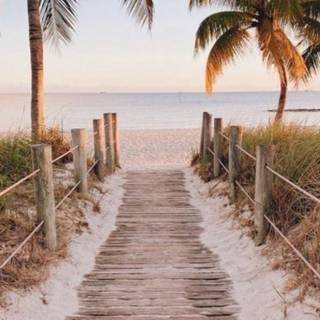 Summer beach aesthetic wallpaper