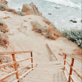 Summer beach aesthetic wallpaper