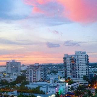 Summer Florida wallpaper