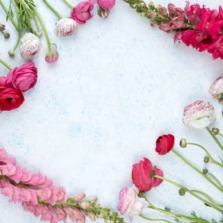 Spring flower design wallpaper