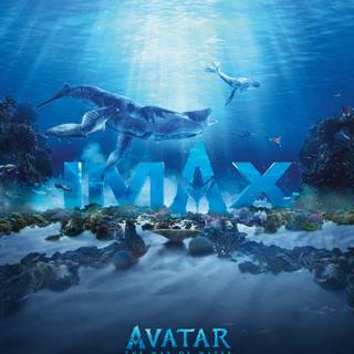 Avatar Way of Water 4k wallpaper