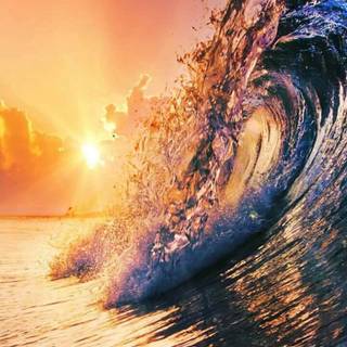 Summer Florida wallpaper