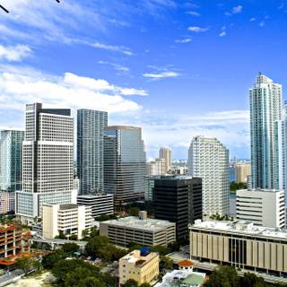 Summer Florida wallpaper