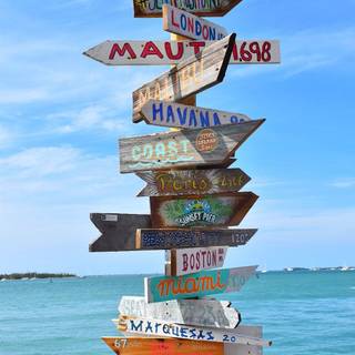 Summer Florida wallpaper