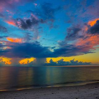 Summer Florida wallpaper