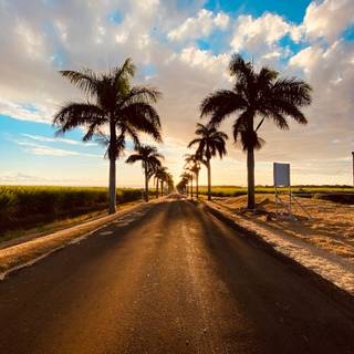 Road summer wallpaper