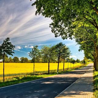 Road summer wallpaper