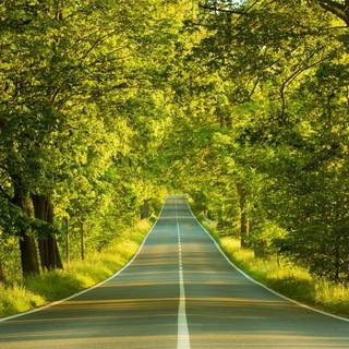 Road summer wallpaper