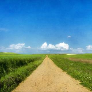 Road summer wallpaper