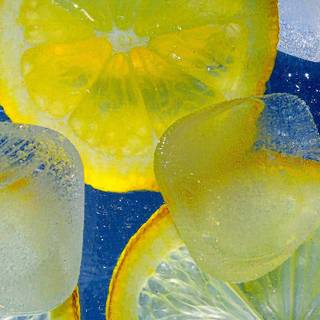 Summer lemon wallpaper