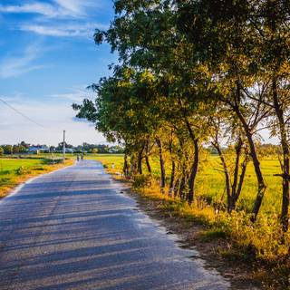 Road summer wallpaper