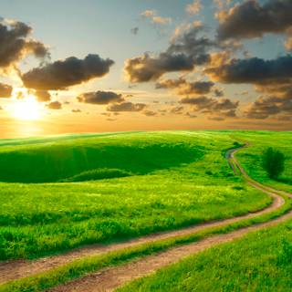 Road summer wallpaper