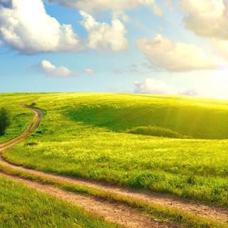 Road summer wallpaper