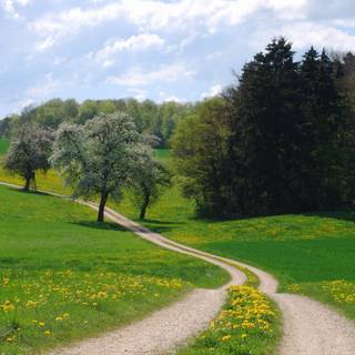 Road summer wallpaper