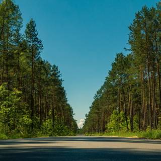 Road summer wallpaper