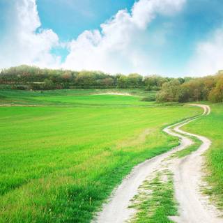 Road summer wallpaper